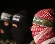 وليد ابوالمجد