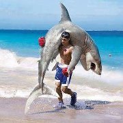 Mohamed Abd el-sattar