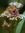 Olkoi | 5 comments