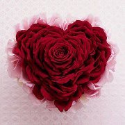 Noha Hammad