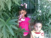 Mohamed Elmazaly