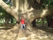 Sathishkumar Gnanasekaran