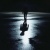Wael Nabil