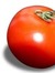 Tomato's