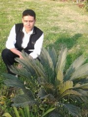 Mohamed Derbala