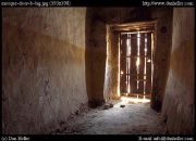 سامح الحسيني