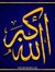 Nabil S...