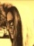 Stephanie