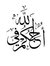 Ahmed S...