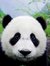 Herry- ...