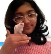Umaima Baboojee
