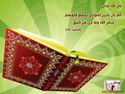 Mohammed Magdy