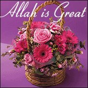 Abeer Fouad