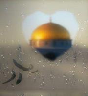 لمياء العابدي العلوي