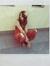 Ivanna