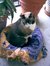 Debbie Mcgarity