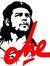 Ahmed R...