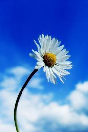 Jean Carroll-autism page