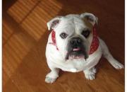 Melissa Eugene-duplantier