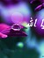 Amal
