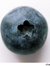 Bleuberry
