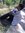 Agung S...