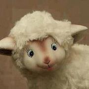 Waked Chaar