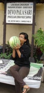 Dwi Hardianti manuaba