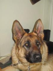 Bayarsaikhan Bat-erdene