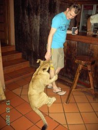 Johan