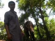 Akshay Raveendran