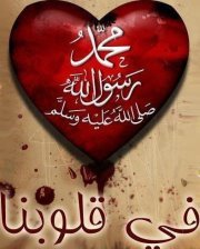 مصطفى مصطفى