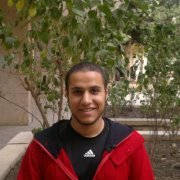 ابراهيم الشرقاوى