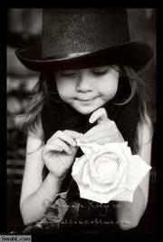 أنوار طيفور