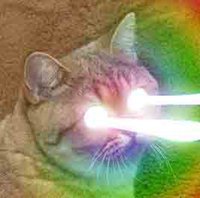 Wojciech Grzymkowski