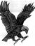 Farhad ...