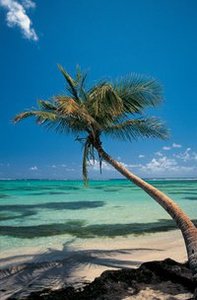 Ezzeddine Almikhlafi