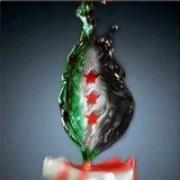 ربى الشام