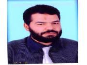 هادي الهرماوي