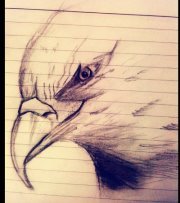 Waleed Shadab