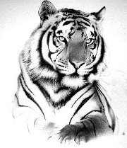 Ashraf M. abdelgalil