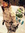 Deja | 4 comments