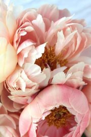 أنفآس الروح