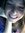 Dasha R...