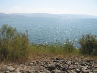 Yaroslav Chaykivskyy