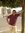 Omar Swy