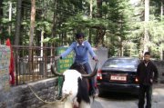 Rakesh Khanna