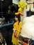 Syeda Asim