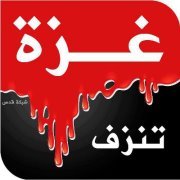 أبوبكر بن