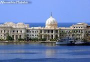 Ahmed Aboukhalifa